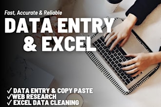 do accurate data entry, web research, and excel data cleanup