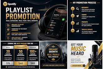 promote your spotify song with organic playlist submission