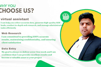 do virtual assistant of data entry typing work and b2b lead generation expert