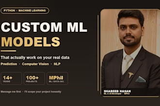 build a custom machine learning model in python