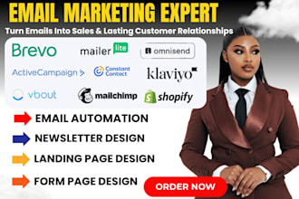 brevo email marketing brevo newsletter mailerlite automation bravo mailchimp