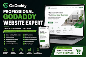 deisgn a professional godaddy website for a business owner