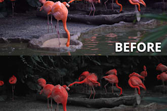 professional photo enhancement and retouching