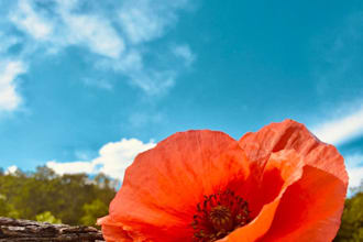 provide strikingly creative, gallery worthy photographs with limited editing