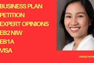 write your eb2 niw  business plan petition and expert opinion