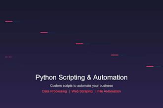 automate your business with custom scripts and programming