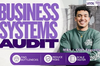 conduct a business systems audit