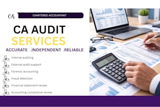 provide expert internal audit and compliance services by a ca
