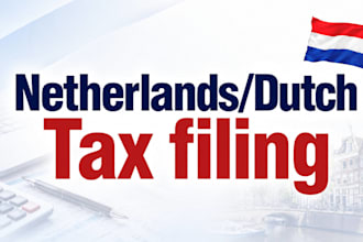 prepare and file personal dutch tax returns for individuals and non residents