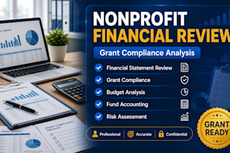 perform a professional nonprofit financial review and grant compliance analysis