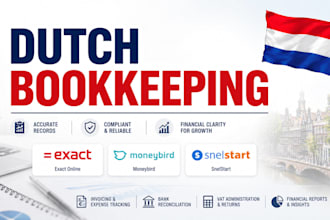 provide dutch bookkeeping cleanup in all software for dutch busineses, companies
