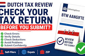 review your self filed netherlands tax return for mistakes before submission