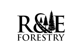 design nature trees landscape clean logo