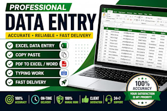 do professionally data entry