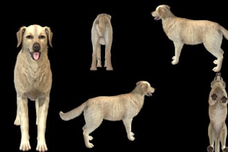 do custom lifelike 3d realistic dog model dog replica wool animal pet model