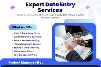 be your expert virtual assistant for data entry and excel work