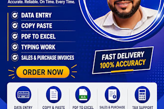 do data entry in microsoft excel and word with precision
