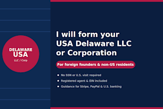form USA company with stripe and premium perks