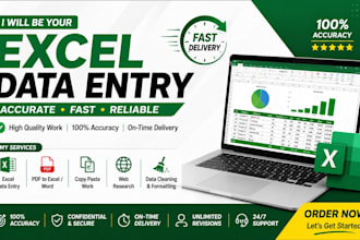do excel data entry, copy paste, ms office work