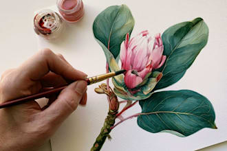 draw a botanical illustration