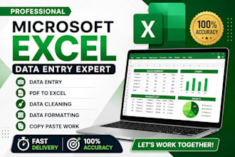 do microsoft excel data entry, data cleaning and formatting