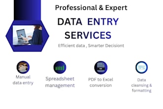 do professional data entry and ms word formatting task