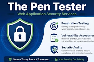 do web application penetration testing and security audits