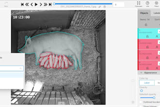provide high quality and accurate data annotation services for your model