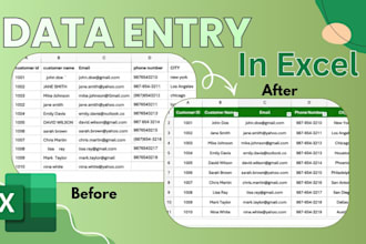 fast and accurate excel data entry  and bulk data entry work