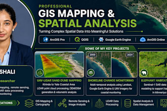 do gis mapping, spatial analysis and geospatial data processing