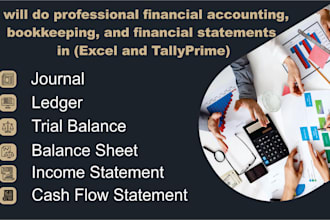 do professional financial accounting, bookkeeping, and financial statements