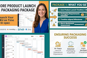 create a packaging and product launch plan for your brand