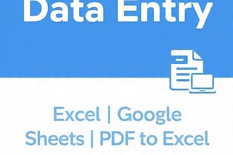 fast data entry in excel and google sheets with 24 hours delivery