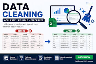 accurate data entry ,excel, data cleaning