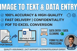 do professional data entry, copy paste, and pdf conversion