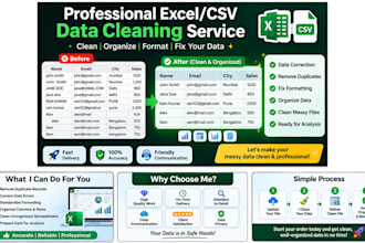 clean, format, organize and fix excel or CSV data professionally