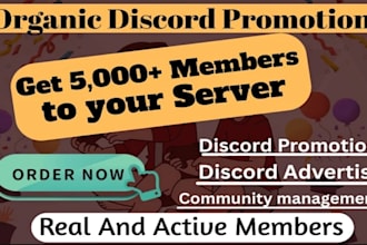 do discord server promotion, discord advertising, organic discord growth