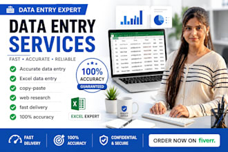 do accurate data entry, excel data entry, typing work