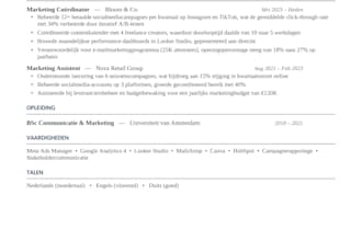 write a professional CV and optimize your linkedin profile