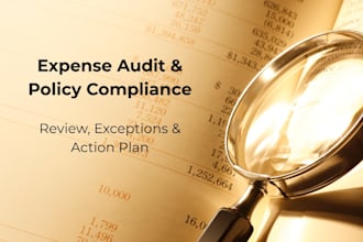 perform a te expenses or expense report audit