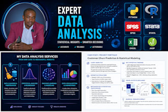 do expert data analysis with spss, r, python, stata, excel, jasp