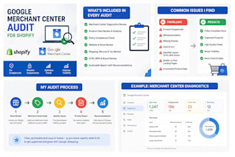 audit your shopify store for google merchant center approval