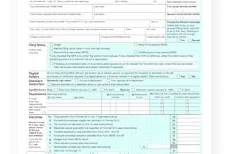 do preparation and review of US federal and state tax returns and accounting