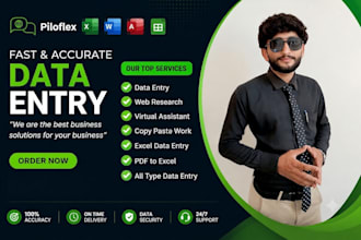 do data entry, web research, excel data entry, data collection and typing tasks