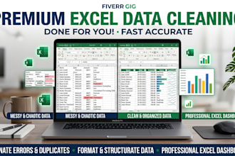 clean excel data remove duplicates and format spreadsheets