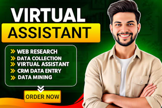 do web research, data collection and CRM data entry