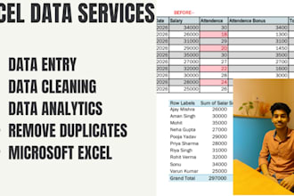 do excel data entry , data clening and formating