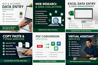 be your professionel virtual assistant for data entery