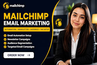 build mailchimp email marketing automation newsletter campaign segment tag setup