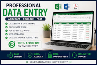 do professional data entry, PDF to excel, and data typing